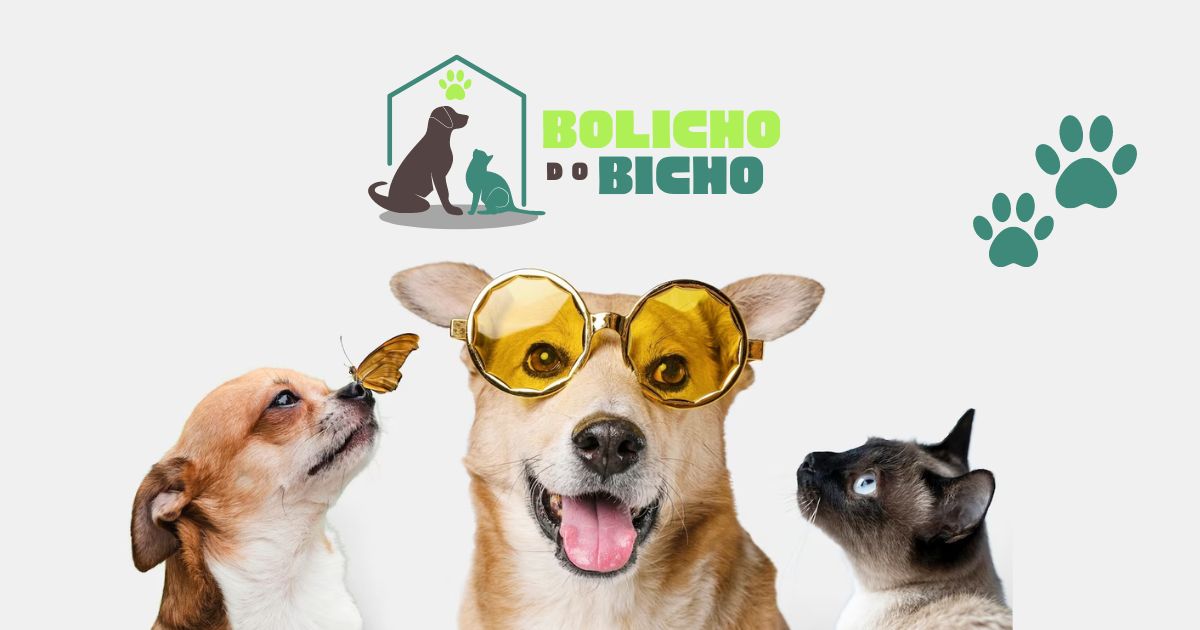 (c) Bolichodobicho.com.br