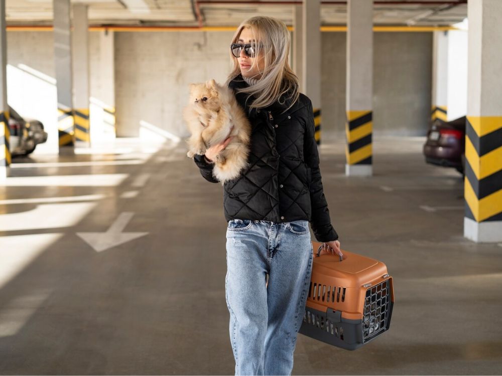 Moça carregando caixa trabsportadora para levar cachorro no avião